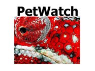 PETWATCH