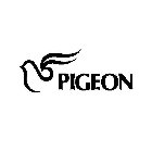 PIGEON