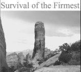 SURVIVAL OF THE FIRMEST