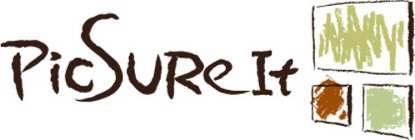 PICSUREIT