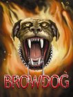 BROWDOG