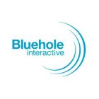 BLUEHOLE INTERACTIVE