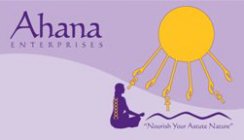AHANA ENTERPRISES 