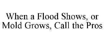WHEN A FLOOD SHOWS, OR MOLD GROWS, CALL THE PROS