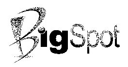 BIGSPOT