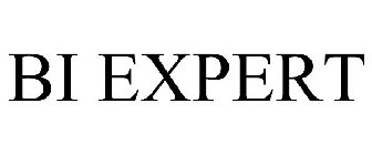 BI EXPERT