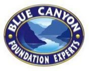 BLUE CANYON FOUNDATION EXPERTS