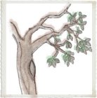 Image Trademark