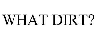 WHAT DIRT?