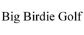 BIG BIRDIE GOLF