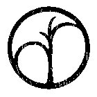 DR