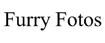 FURRY FOTOS