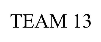 TEAM 13