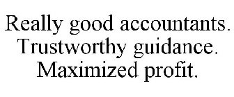 REALLY GOOD ACCOUNTANTS. TRUSTWORTHY GUIDANCE. MAXIMIZED PROFIT.