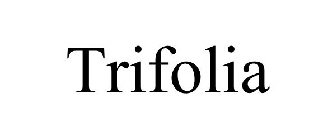 TRIFOLIA