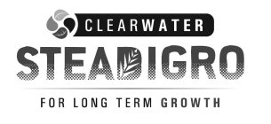 CLEARWATER STEADIGRO FOR LONG TERM GROWTH