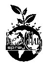 HEALTHY SPRAY