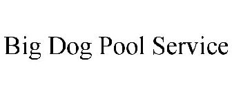 BIG DOG POOL SERVICE
