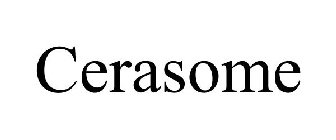 CERASOME