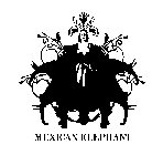 MEXICAN ELEPHANT