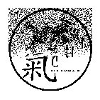 C H I CONCENTRIC HEALING INSTITUTE