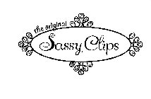 THE ORIGINAL SASSY CLIPS