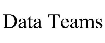 DATA TEAMS