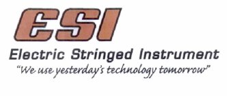 ESI ELECTRIC STRINGED INSTRUMENT 