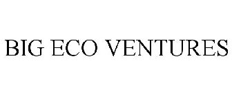 BIG ECO VENTURES