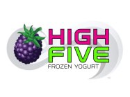 HIGH FIVE FROZEN YOGURT