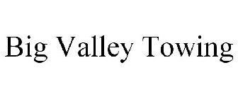 BIG VALLEY TOWING