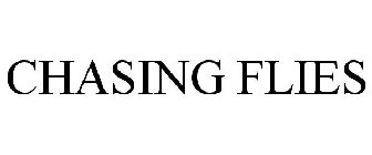 CHASING FLIES