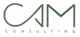 CAM CONSULTING