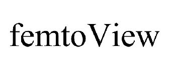 FEMTOVIEW