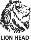 LION HEAD