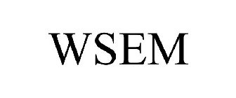 WSEM