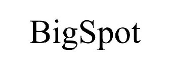 BIGSPOT