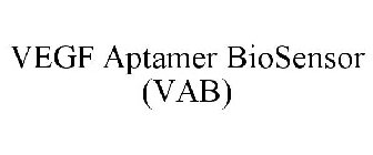 VEGF APTAMER BIOSENSOR (VAB)