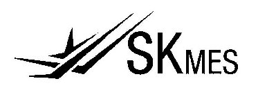 SKMES