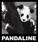 PANDALINE