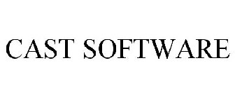 CAST SOFTWARE