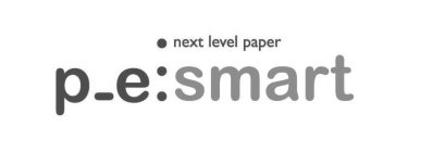 NEXT LEVEL PAPER P_E:SMART