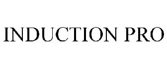 INDUCTION PRO
