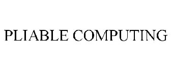 PLIABLE COMPUTING