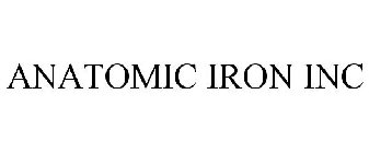 ANATOMIC IRON
