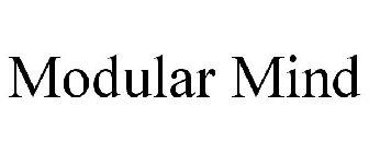 MODULAR MIND