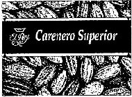 EL REY CARENERO SUPERIOR