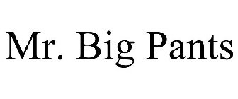 MR. BIG PANTS