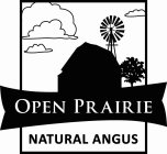 OPEN PRAIRIE NATURAL ANGUS