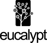 EUCALYPT